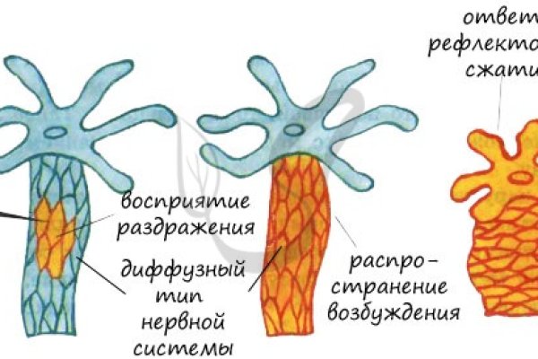 Кракен ссылка онион зеркало