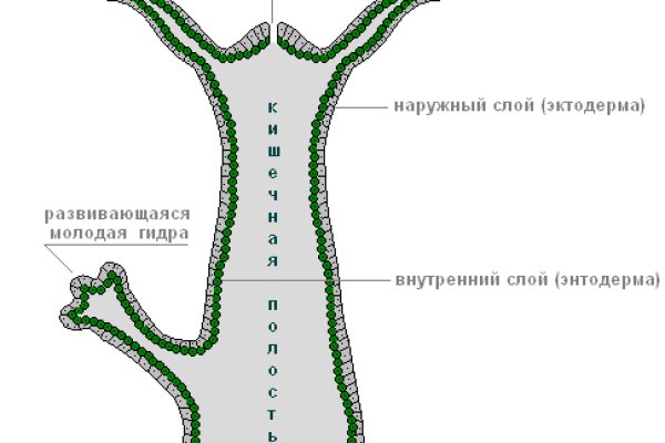 Как закинуть деньги на кракен