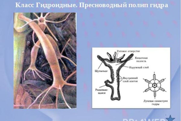 Ссылка на кракен официальный сайт